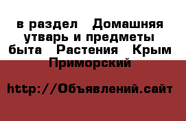  в раздел : Домашняя утварь и предметы быта » Растения . Крым,Приморский